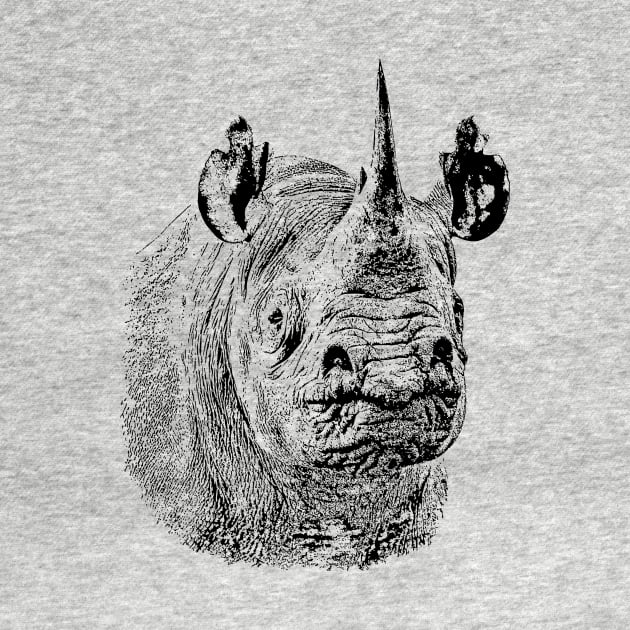 Endangered Black Rhino Portrait | African Wildlife by scotch